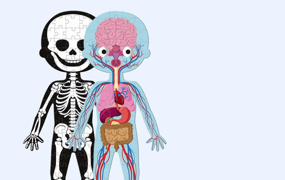 8 jouets scientifiques et STEM pour 3 à 6 ans