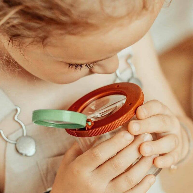 Boîte d'observation d'insectes avec loupe - Jeux scientifiques by Moulin Roty