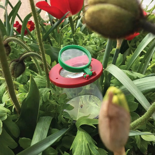 Boîte d'observation d'insectes avec loupe - Jeux scientifiques by Moulin Roty