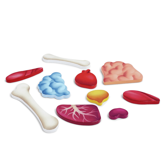 Casse-tête du corps humain (60 pcs) - Casse-têtes by Hape