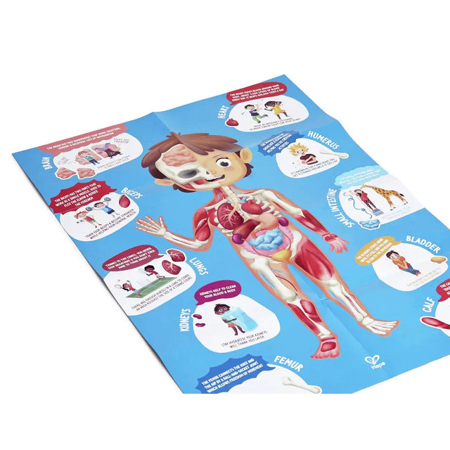 Casse-tête du corps humain (60 pcs) - Casse-têtes by Hape