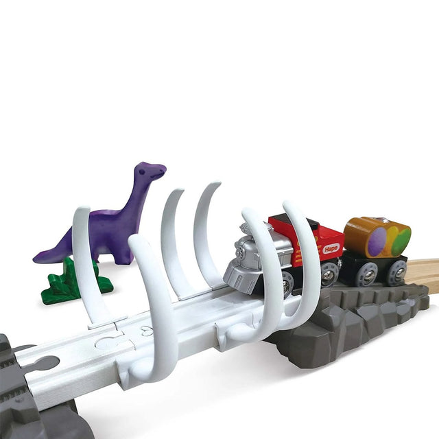 Dinosaur Railway Adventure Set (61 pcs)