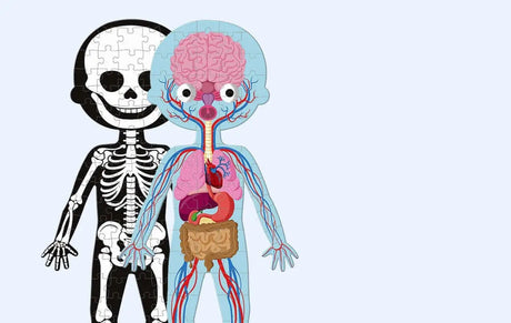 8 jouets scientifiques et STEM pour 3 à 6 ans