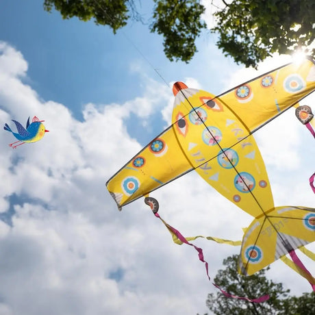 Cerf-volant géant Maxi Plane - Jeux d'extérieur by Djeco