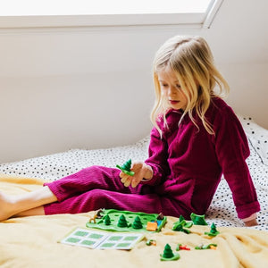 Jeu de réflexion Parc'Ours en forêt - Jeux de logique by Smart Games