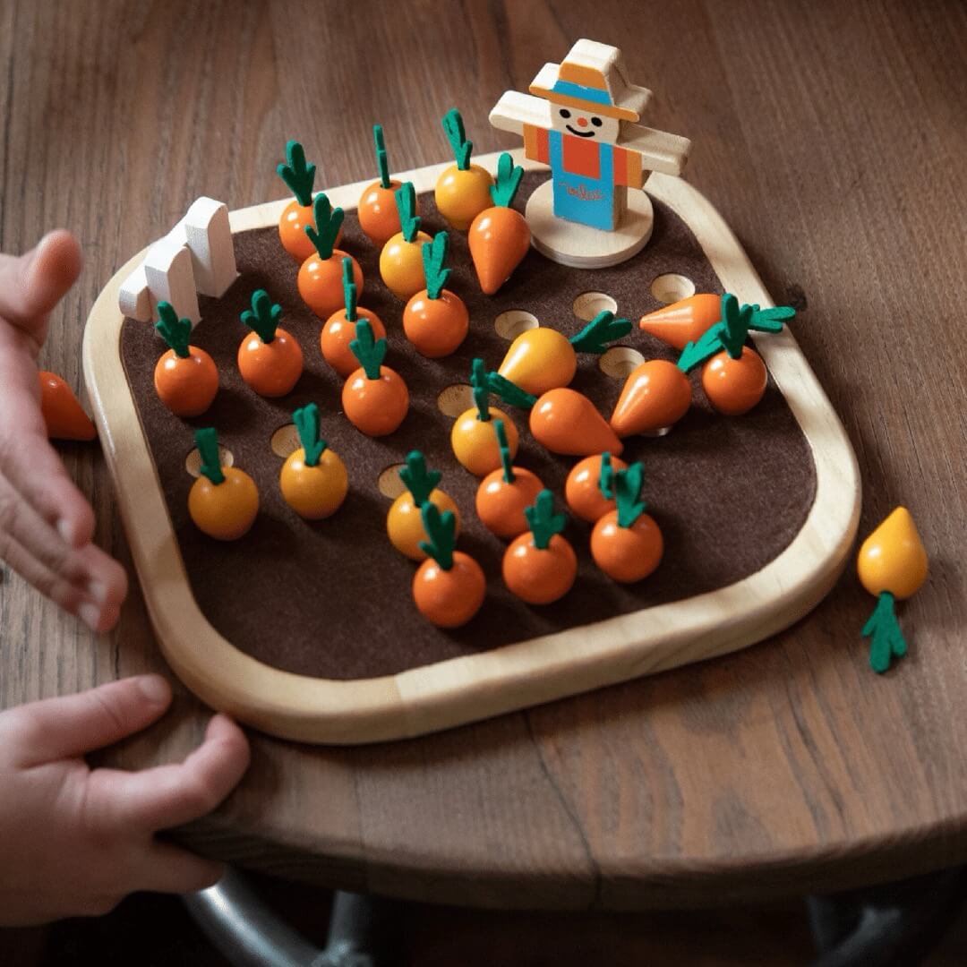 Solitaire du potager - Jeux de logique by Vilac