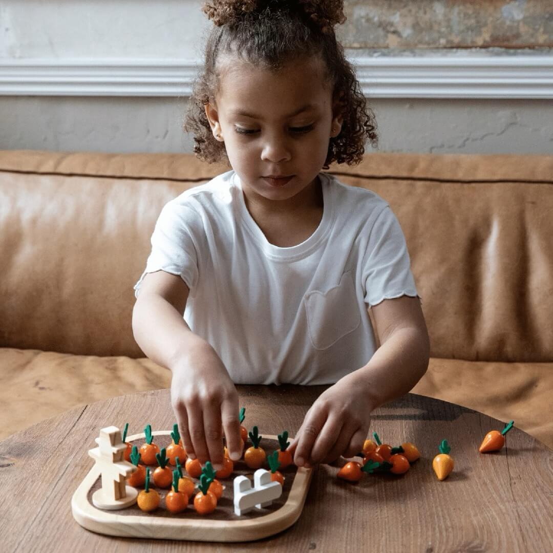 Solitaire du potager - Jeux de logique by Vilac