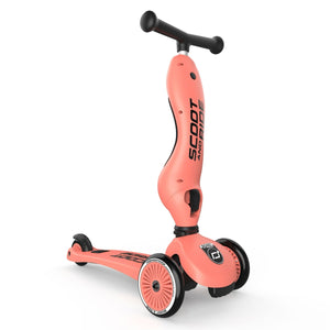 Trottinette 2-en-1 Highwaykick 1 - Pêche - Jeux d'extérieur by Scoot & Ride