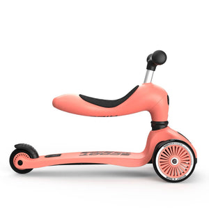 Trottinette 2-en-1 Highwaykick 1 - Pêche - Jeux d'extérieur by Scoot & Ride